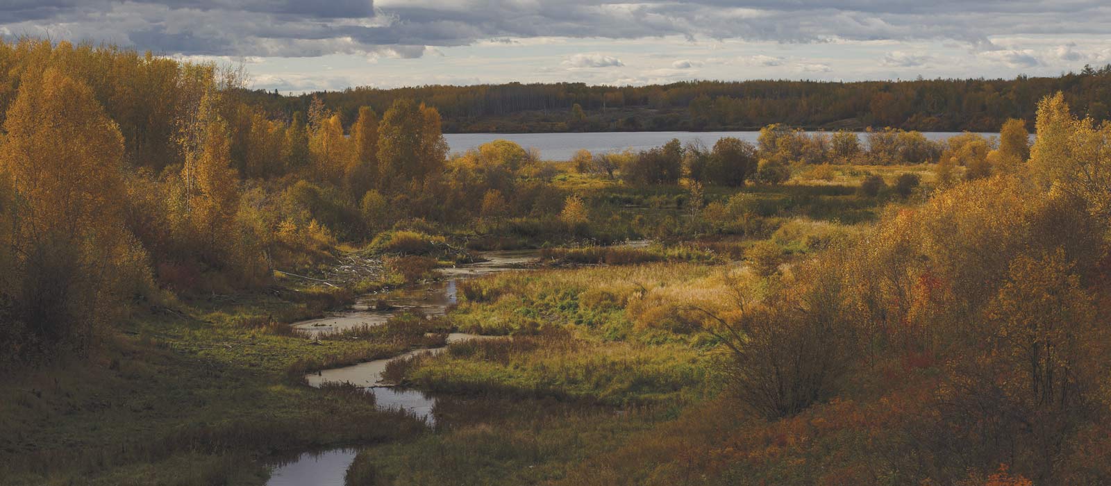 Métis settlements map Canada Métis settlements map Canada