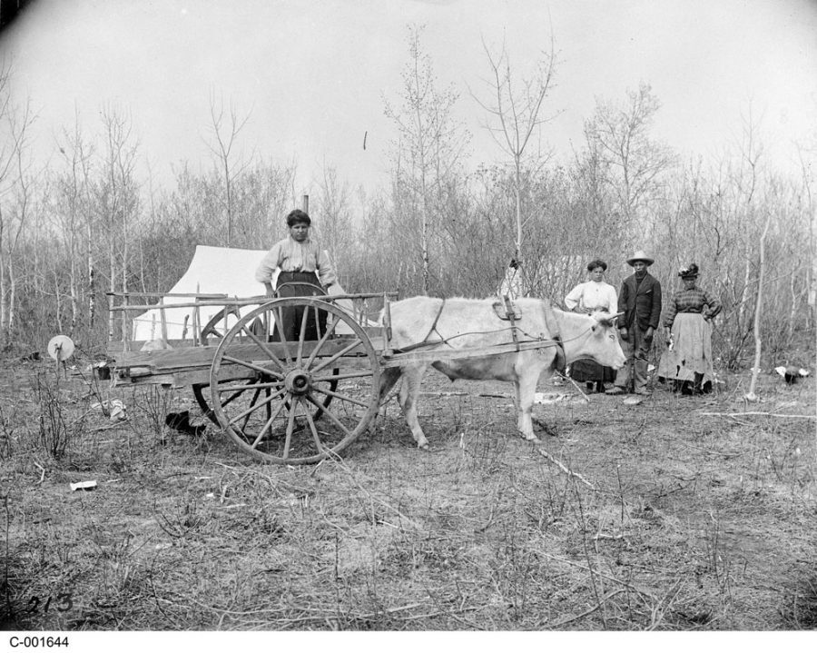 The Red River Cart is renowned as an example of early Métis ingenuity.