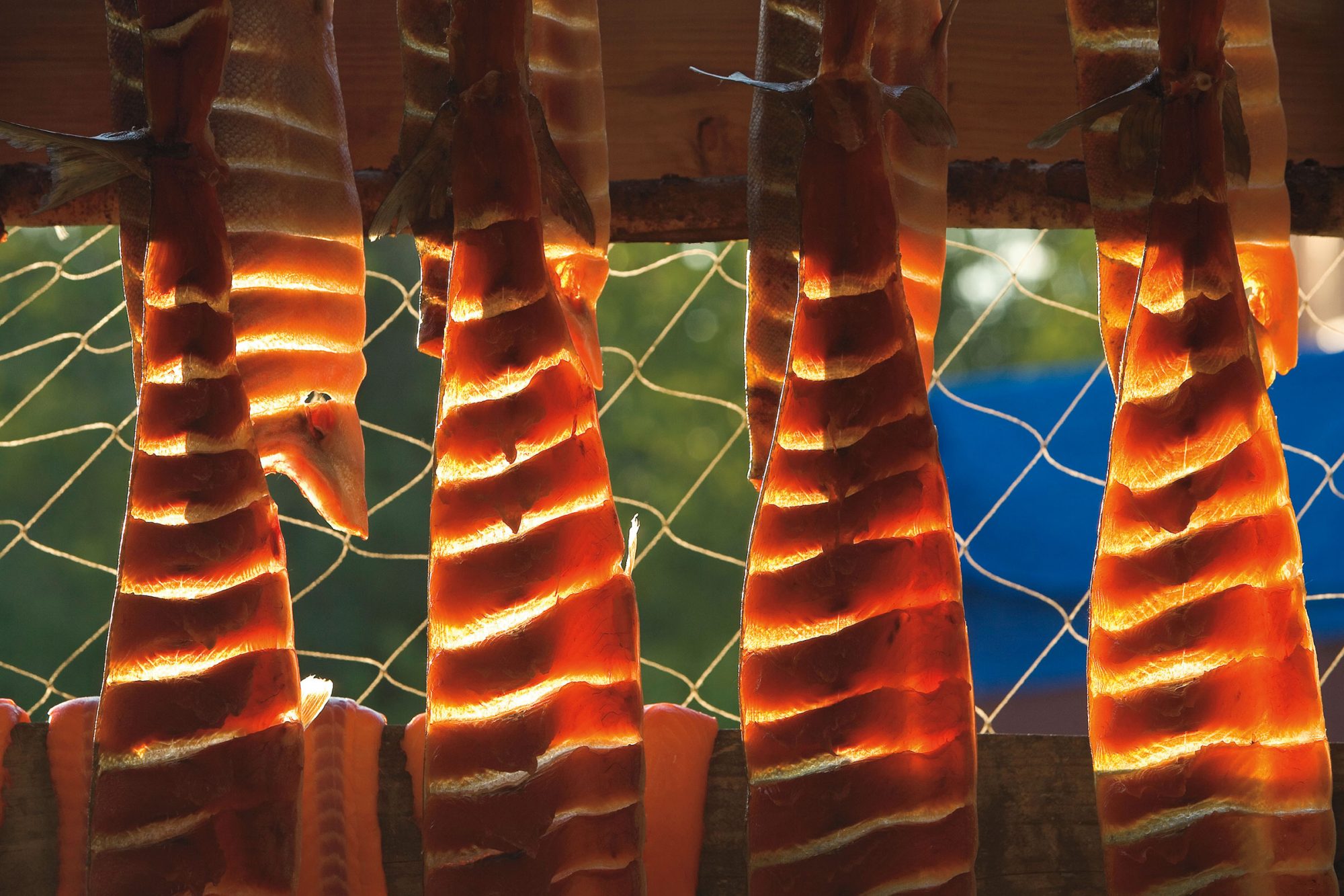 Food | Indigenous Peoples Atlas of Canada